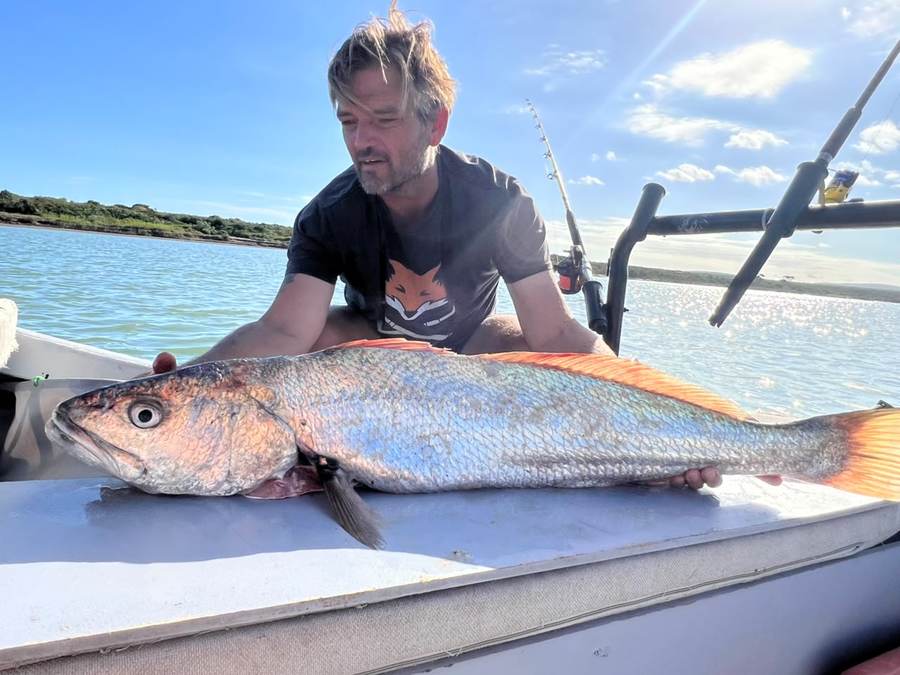Large Cape salmon landed on the boat