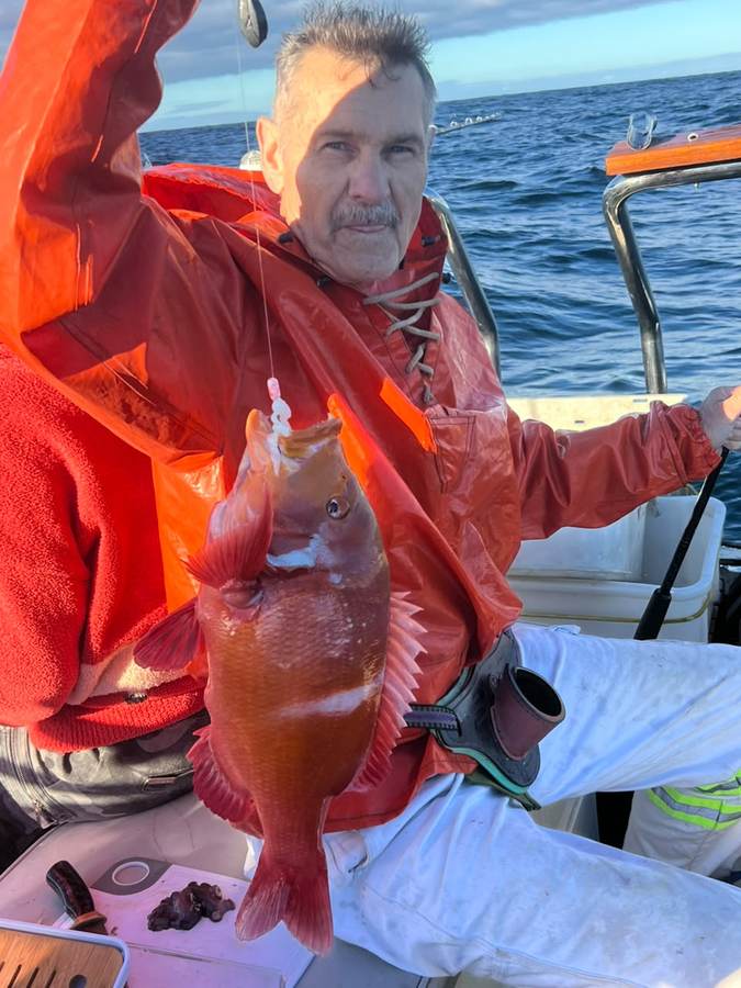 Red roman caught on an inshore charter